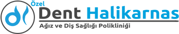 Dent Halikarnas Dent Halikarnas